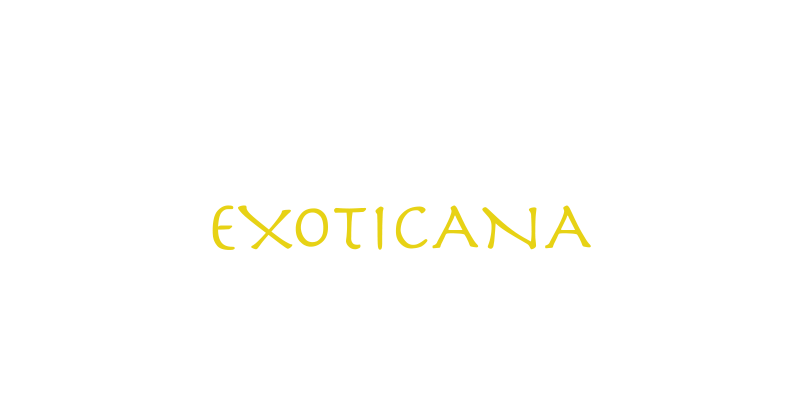 IMT SMILE |  Exoticana