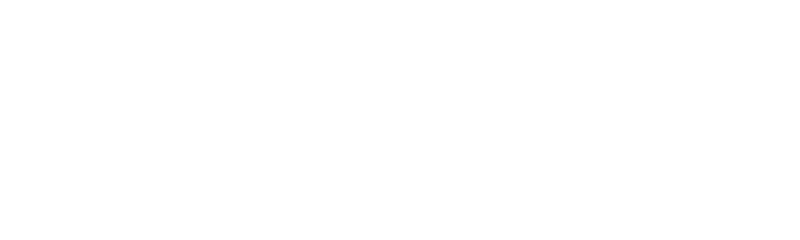 SK Dynamo České Budějovice // Chance Liga 2024/2025