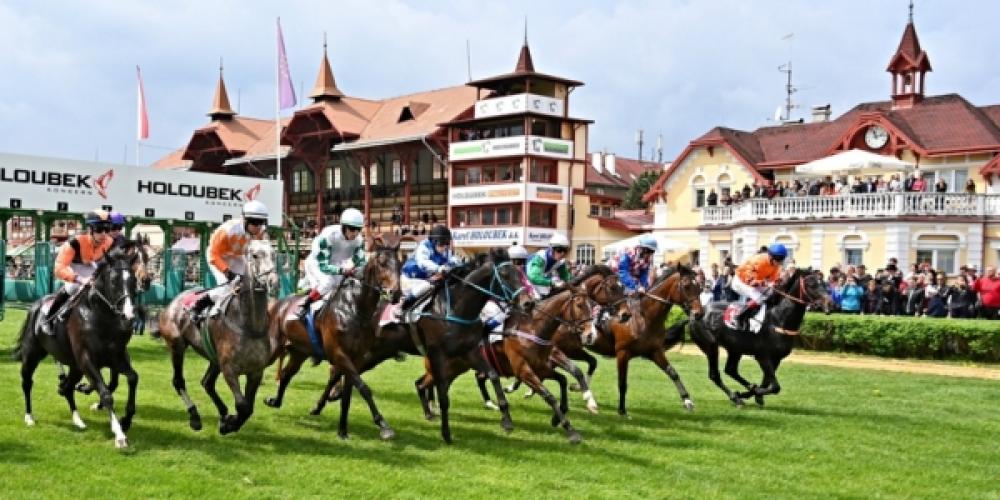 Letní cena klisen / Hipodrom Holoubek Karlovy Vary / 28.06.2026