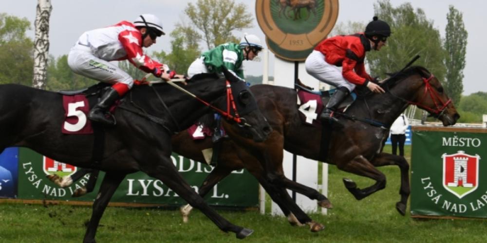 Prvomájová steeplechase / Závodiště Lysá nad Labem / 01.05.2026