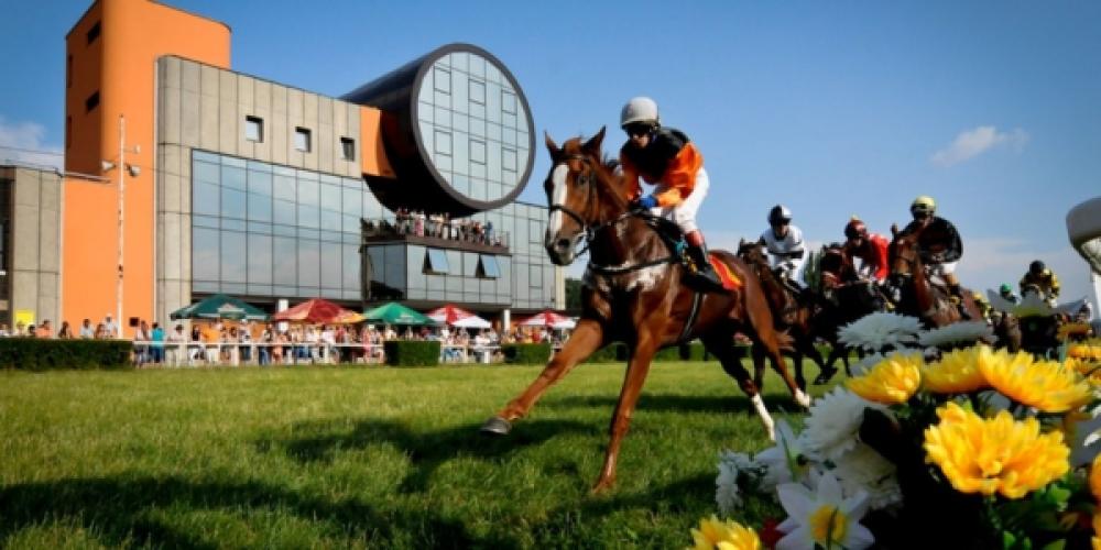 Rovinové a překážkové dostihy / Moravské závodište Slušovice / 25.07.2026