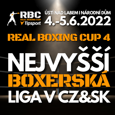 REAL BOXING CUP 4.